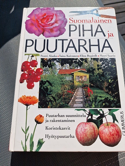 Suomalainen piha ja puutarha