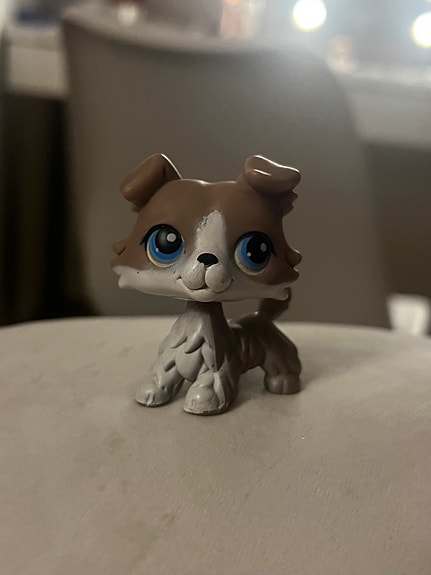 lps collie