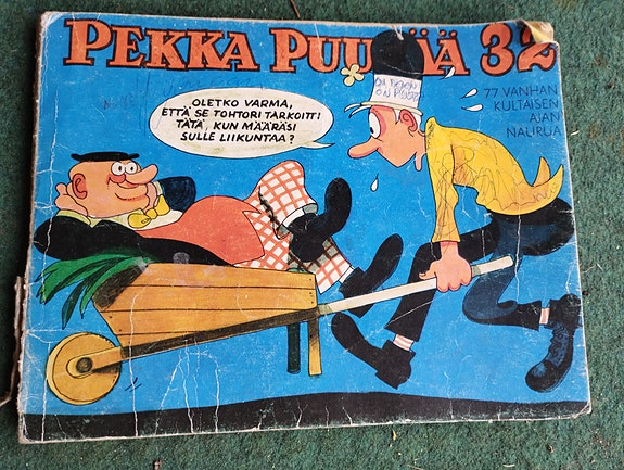 Pekka puupää