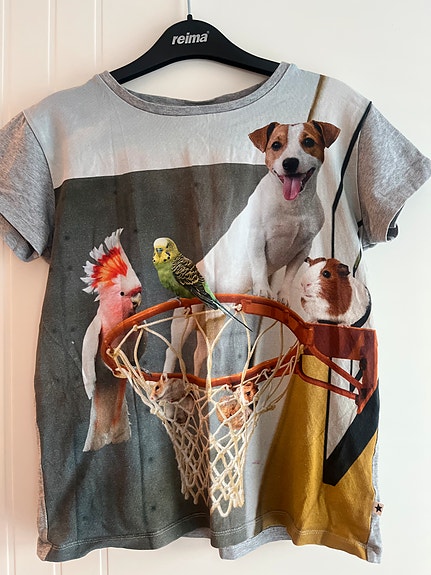 Mol Myydään (sivu 3) Tori