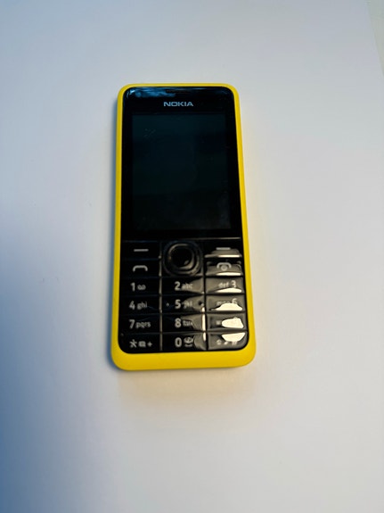 Nokia 301