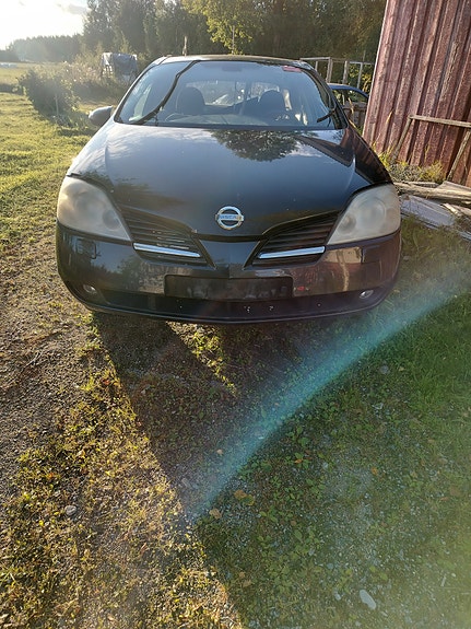 Nissan primera 03 osina