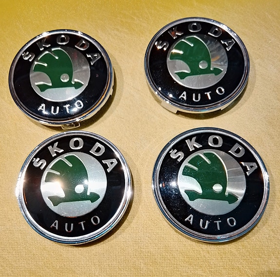 Skoda vannekeskiöt