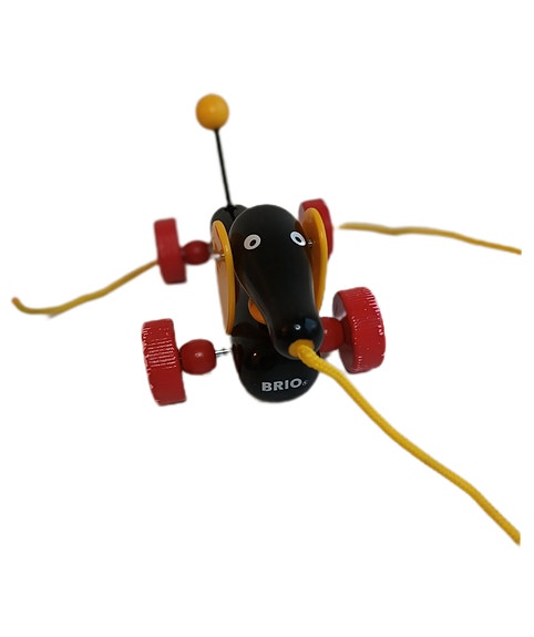 Brio mäyräkoira