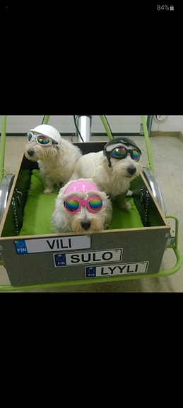 Sähköpyörä
