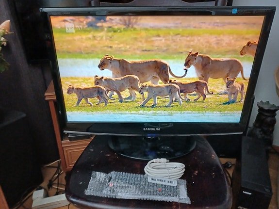SAMSUNG 24" HD Televisio + kaukosäädin