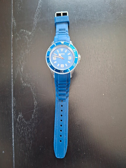 Europa watch rannekello