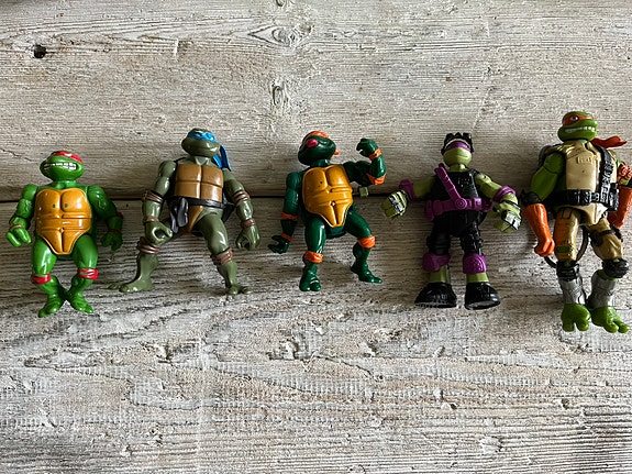 Turtles