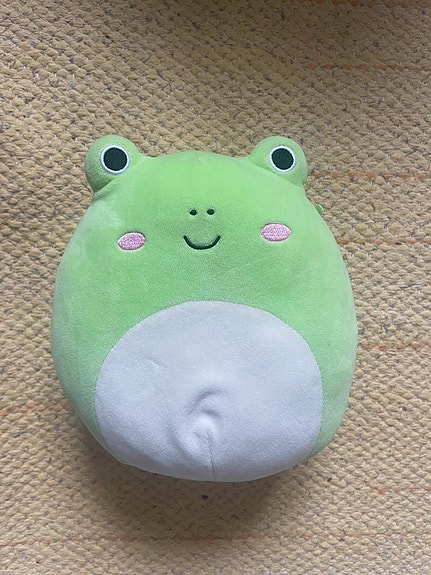 Squishmallows sammakko Wendy 19cm