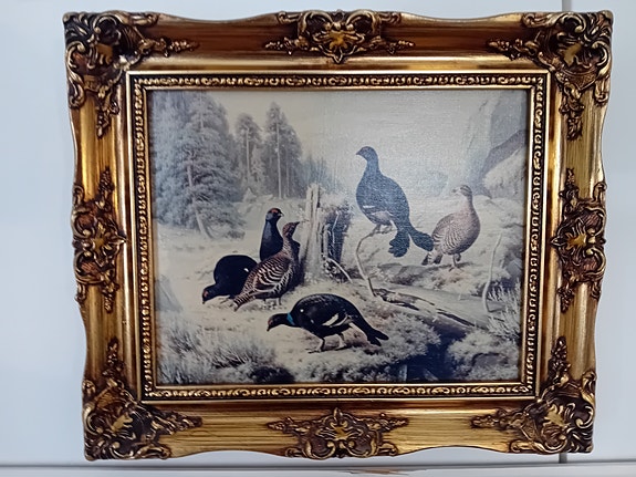 Lintumaalaus (von Wright keräilysarja)