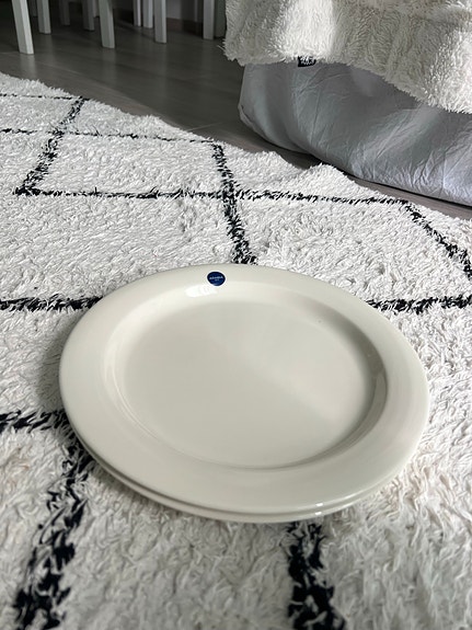Arctica lautaset