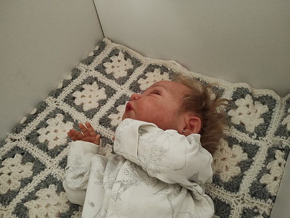 Reborn nukke