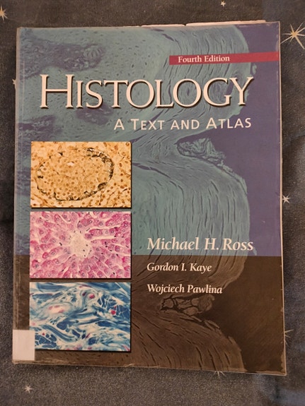 Yliopiston biologia
