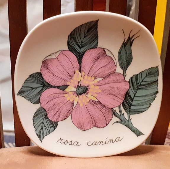 Arabia, Esteri Tomula, Rosa, Rosa canina, Koiranruusu koristelautanen
