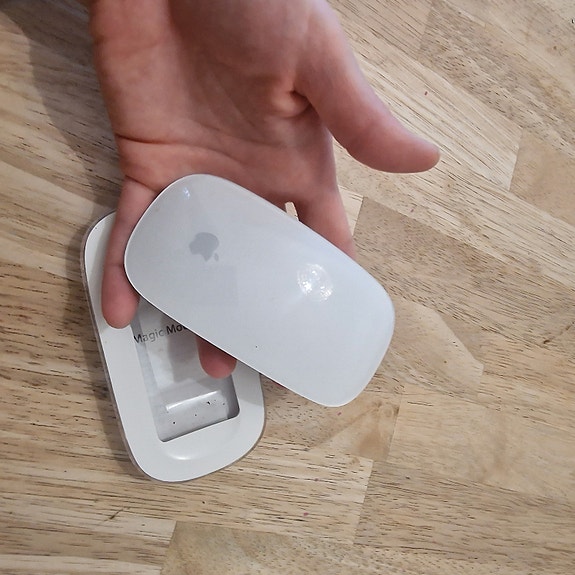 Apple mouse