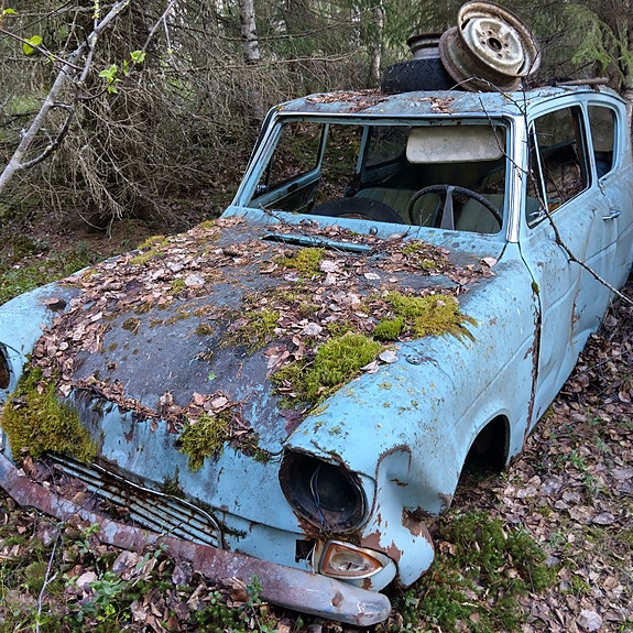 Anglia
