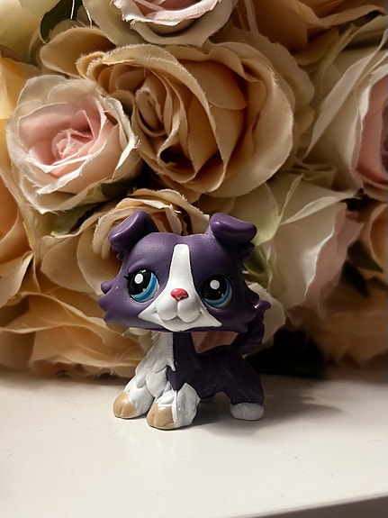 lps liila collie