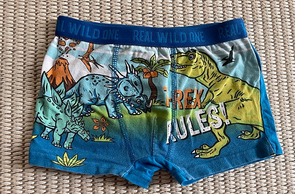 Dinosaurus -bokserit pojalle, koko 116