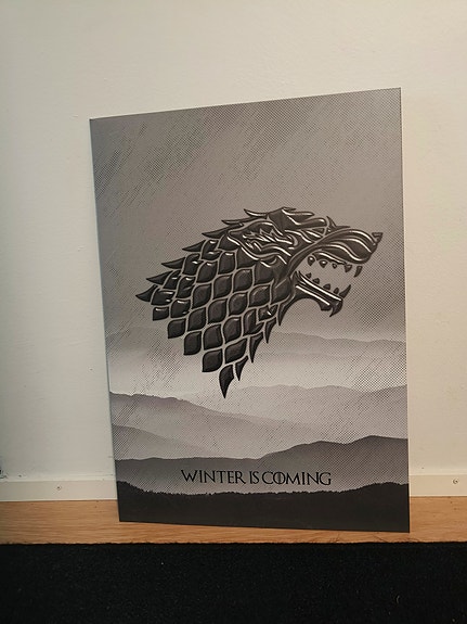 Displate Game of Thrones - House Stark