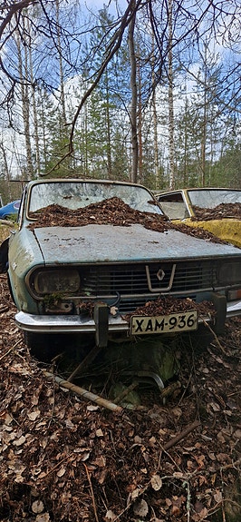 Renault 12