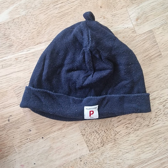 Polarn o pyret pipo