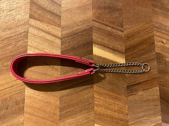 Pinkki nahkapanta pienelle koiralle