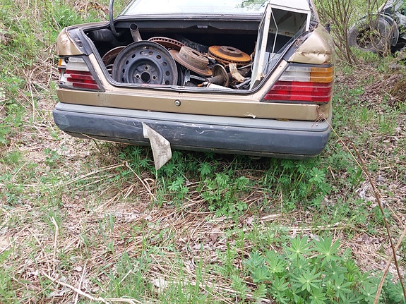 MB W124 osina