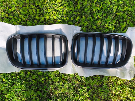BMW F25 munuaiset