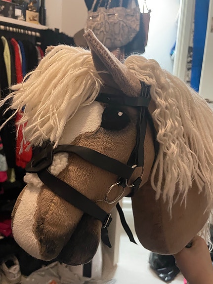 Meksikolaiset suitset kepparille!