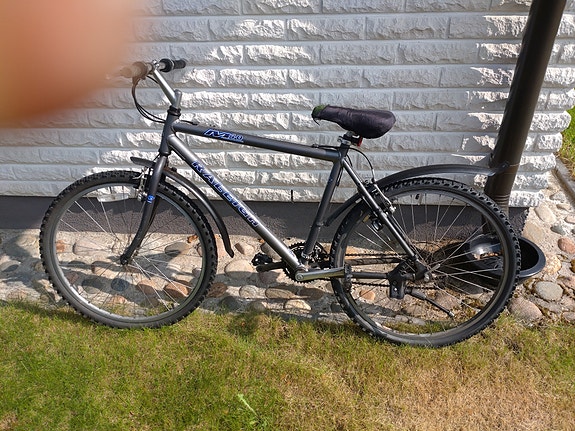 Raleigh M40  20 tuumaa