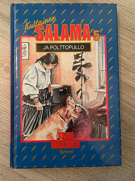 Kultainen salama ja polttopullo - kirja