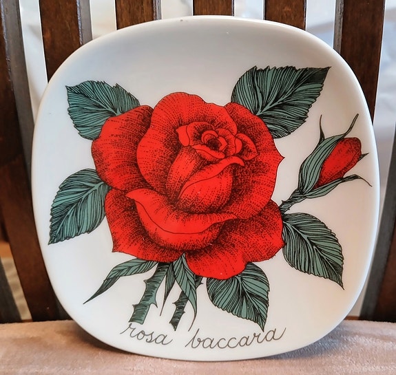 Arabia, Esteri Tomula, Rosa Rosa baccara seinälautanen