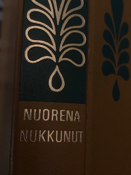 Nuorena nukkunut , F E Sillanpää