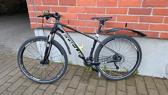 Focus raven 29er