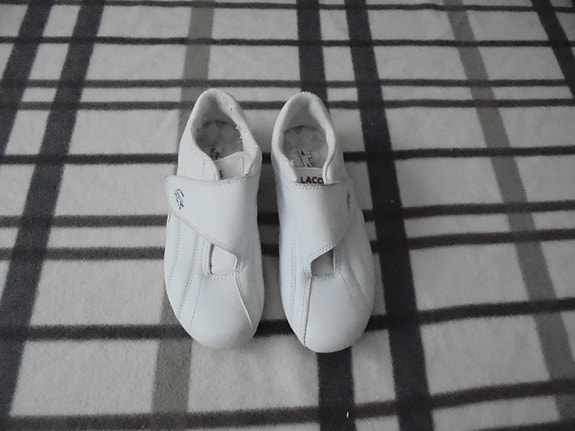 Lacoste kengät koko 37
