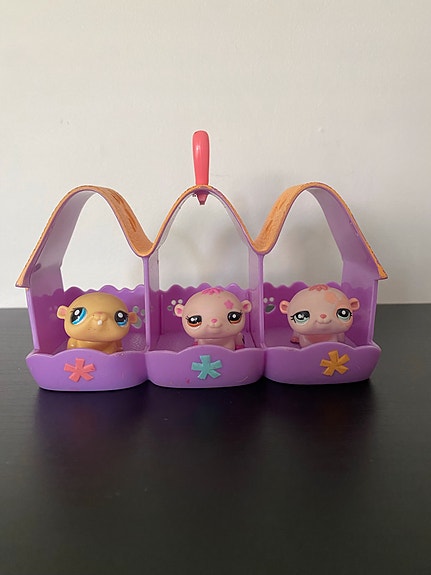 Lps setti
