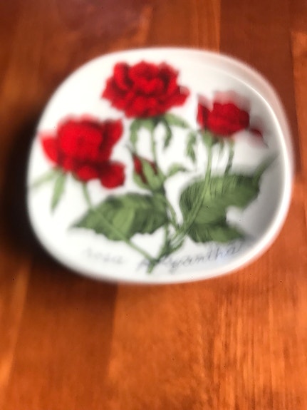 Esteri Tomulan Rosa polyantha -Seinälautane