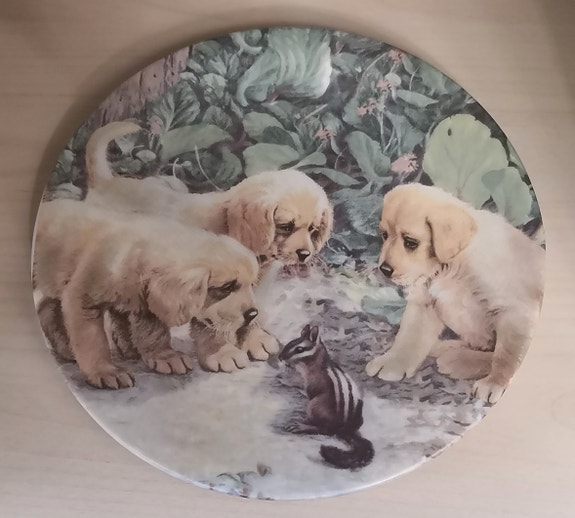 Kultainennoutaja seinälautanen