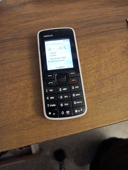 Nokia 3110classic+laturi