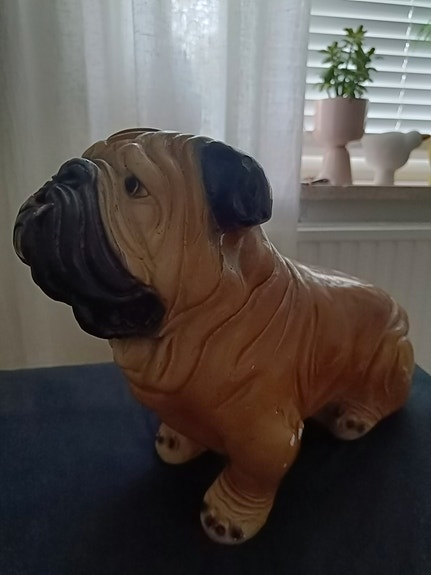 Englannin bulldog