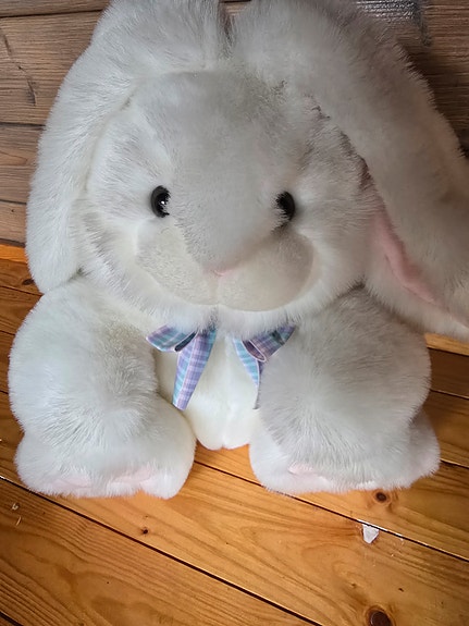 Pupu