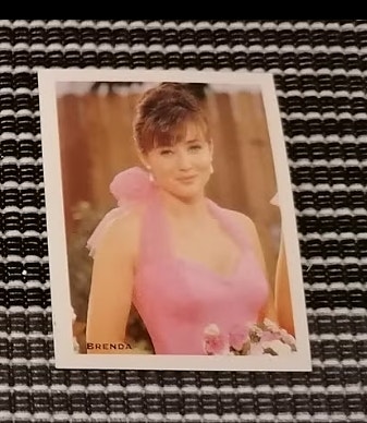 Beverly Hills 90210 tarra
