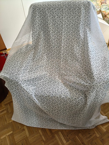 Pitsiä