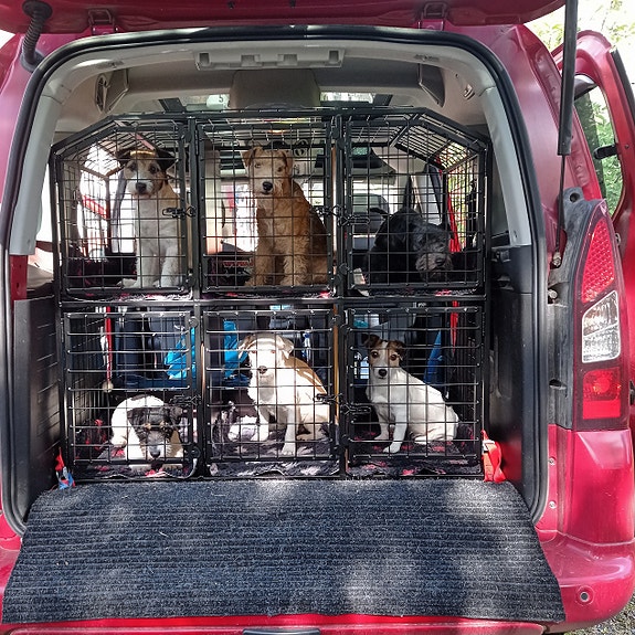 Product image 6 of 8