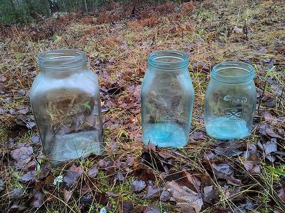 Riihimäen lasin lasipurkkeja 3, 5 ja 8l