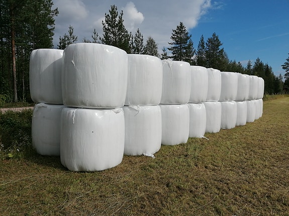 Heinää pyöröpaaleissa