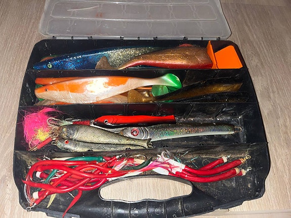 Product image 3 of 10