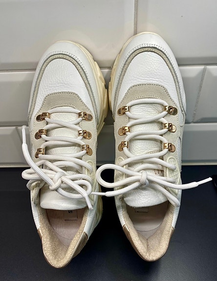 Steve Madden