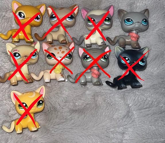 Lps seisovat kissat