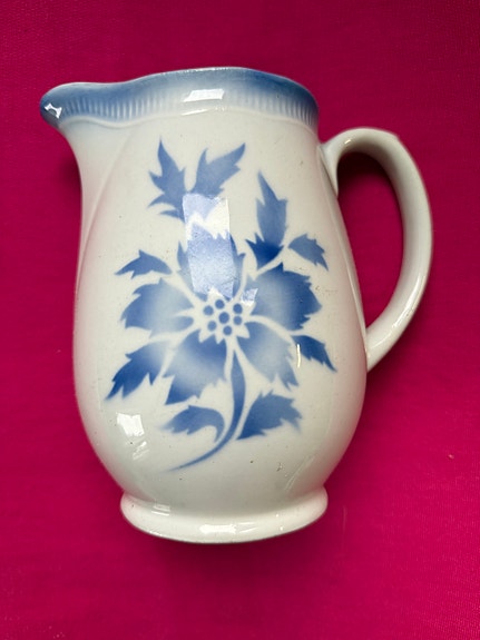Arabia Aster